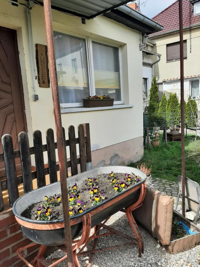 Apartment Sorgenfrei Caputh Ngoại thất bức ảnh